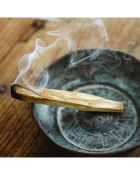 Palo Santo sau lemn sacru